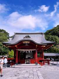 Tsurugaoka Hachimangu Shrine: Kamakura’s Majestic Cultural Jewel