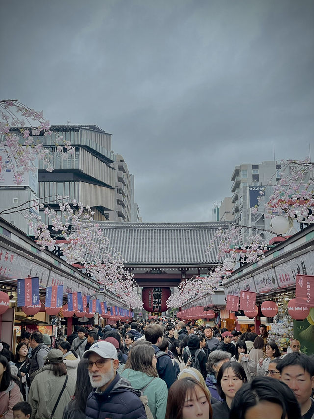 🇯🇵 도쿄 냄새 맡고싶은사람 들어오시오