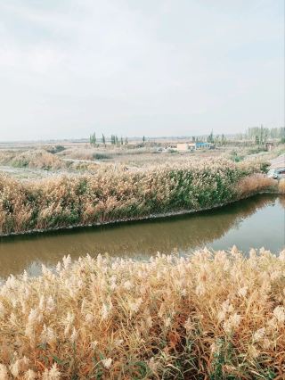 Autumn Splendor of Bosten Lake