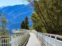 ⛅️清境天空步道：漫步在雲端的輕旅行