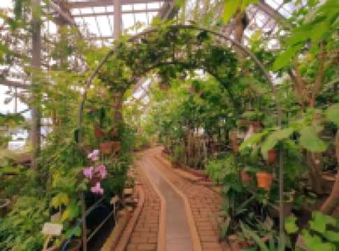Discovering Nature’s Pharmacy at Tokyo Medicinal Plant Garden 🌿