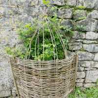 Where History Meets Horticulture: A Family Adventure at Caisson Gardens