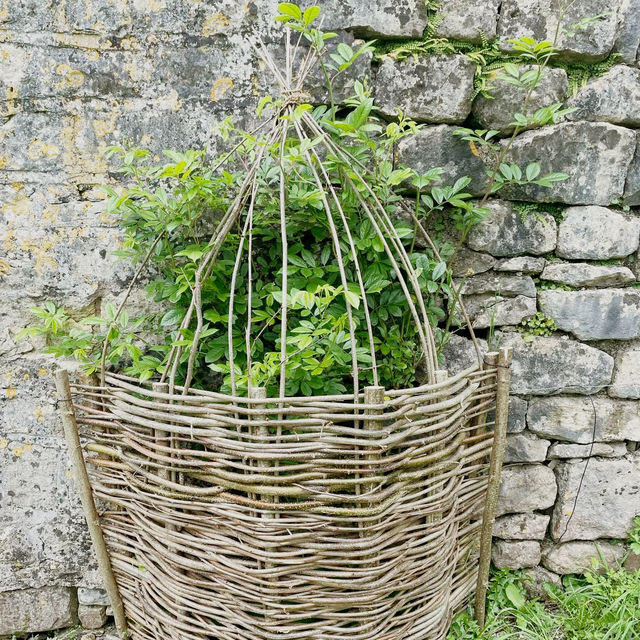 Where History Meets Horticulture: A Family Adventure at Caisson Gardens