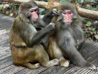 Zhangjiajie National forest park🙌🏼✨🔮