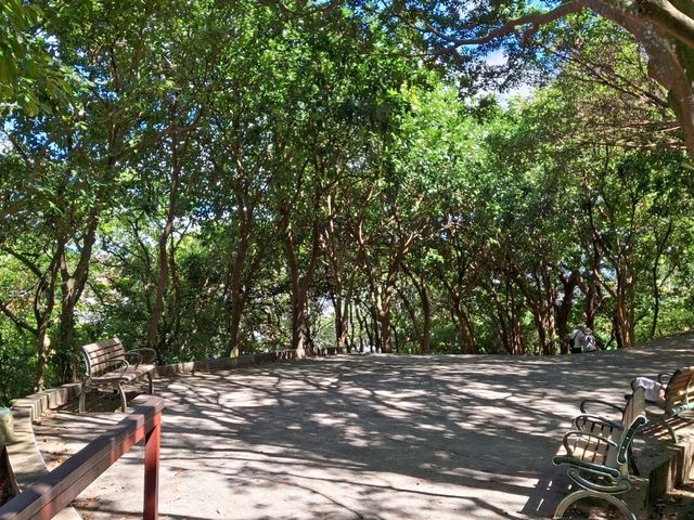 The Bright Fuzhou Shan Park in Da'an District, Taipei City, Taiwan The Bright Fuzhou Shan Park in Da'an District, Taipei City, Taiwan