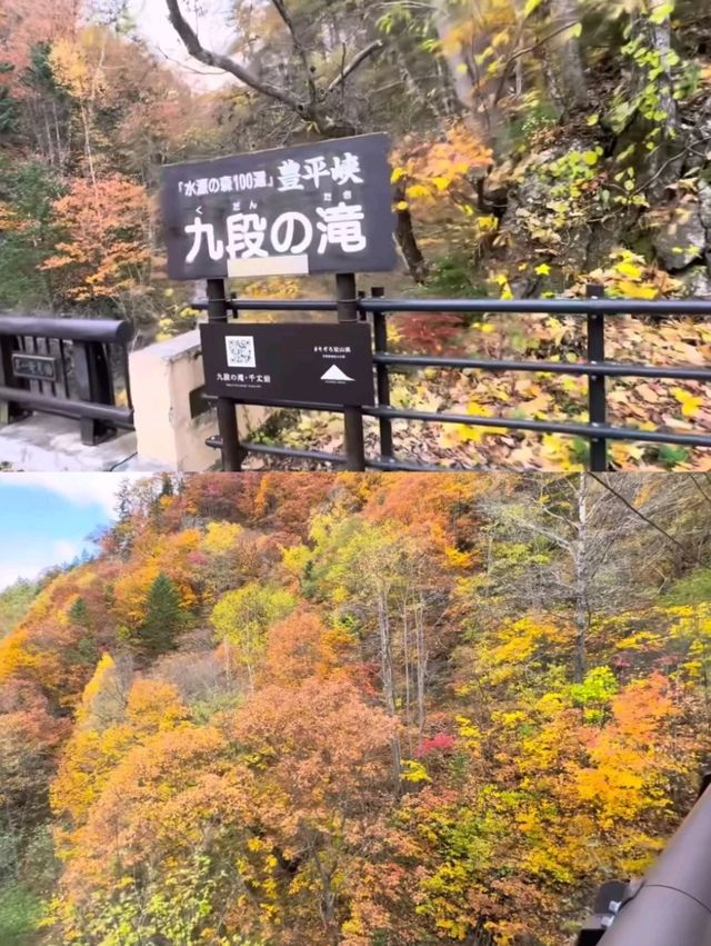 🍁札幌必打卡！深秋豐平峽水庫紅葉絕景全攻略