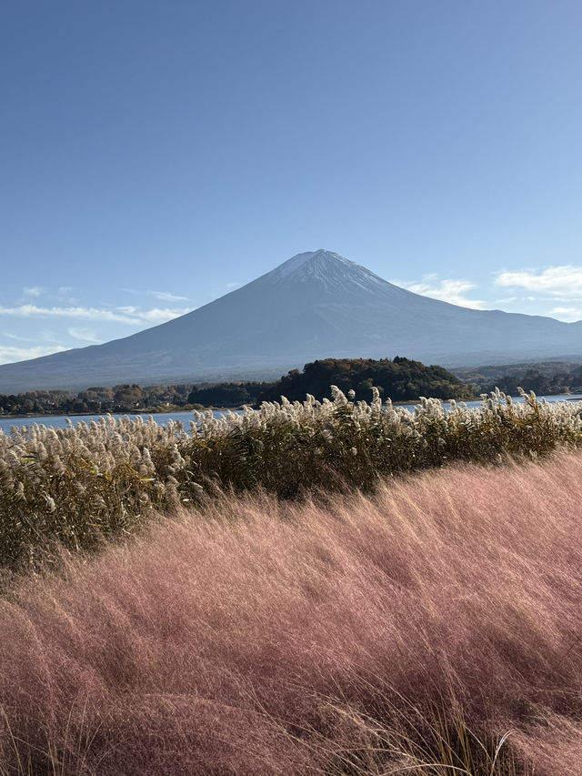 Quineville Fall Vibes & Fuji Views: Ultimate 3-Day Itinerary 🍁🌄