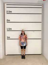 《中環大館・漫步古蹟與藝術之間的午後》