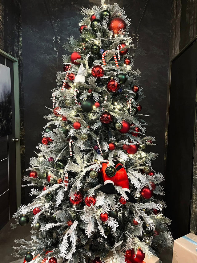 Twelve oz ต้อนรับคริสตมาสเชียงใหม่ 2025🎄 Twelve oz ต้อนรับคริสตมาสเชียงใหม่ 2025🎄