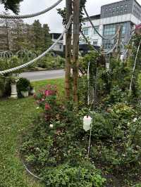 週末療癒提案！桃園雅聞魅力博覽館：迷迭香花園步道與玻璃屋植物探險 🌱