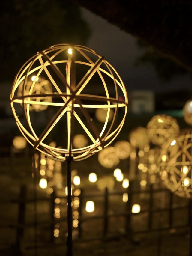 🏯❄️心も体も満たされる！最高の冬の熊本旅レポート！🥩♨️