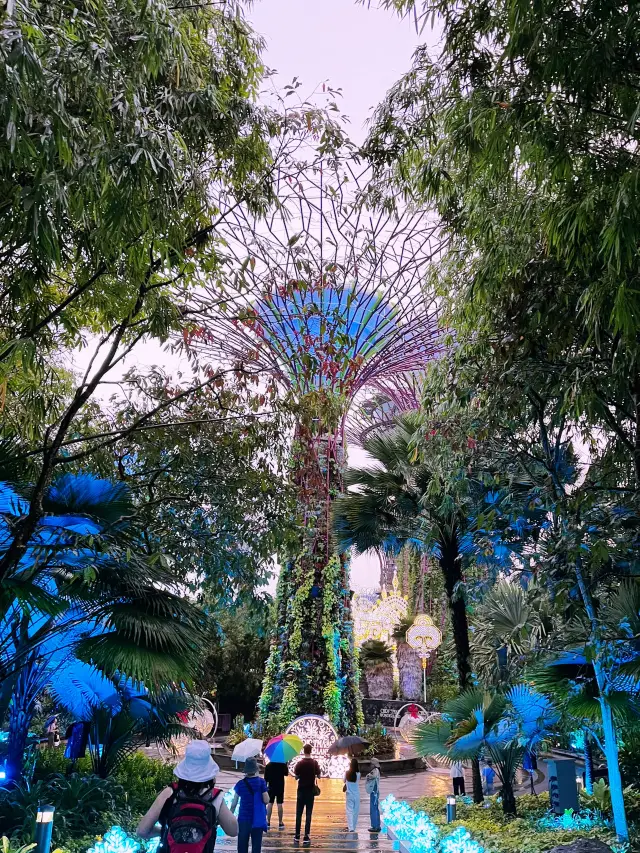 Christmas Wonderland at Gardens by the Bay – A Magical Festive Escape