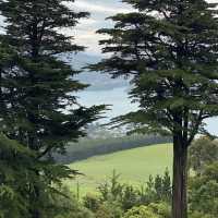 🇳🇿 奧塔哥半島必去打卡！紐西蘭唯一夢幻古堡Larnach Castle