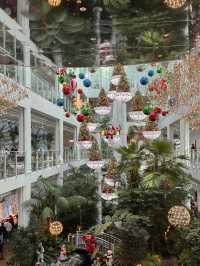 🎄 용인의 크리스마스 무드 대형 카페 🎄