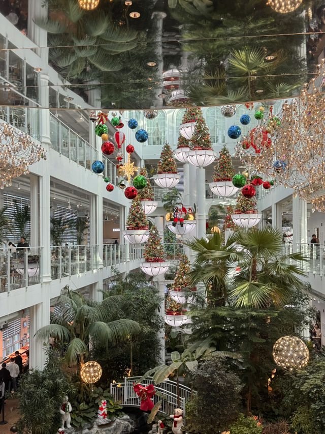 🎄 용인의 크리스마스 무드 대형 카페 🎄 🎄 용인의 크리스마스 무드 대형 카페 🎄