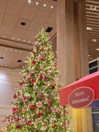 로맨틱 겨울낭만 가득한 경주 여행코스🎄