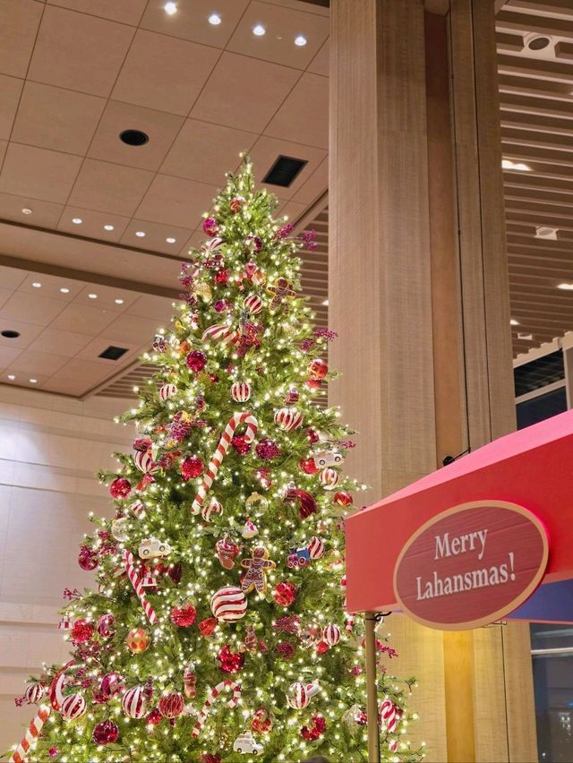 로맨틱 겨울낭만 가득한 경주 여행코스🎄 로맨틱 겨울낭만 가득한 경주 여행코스🎄