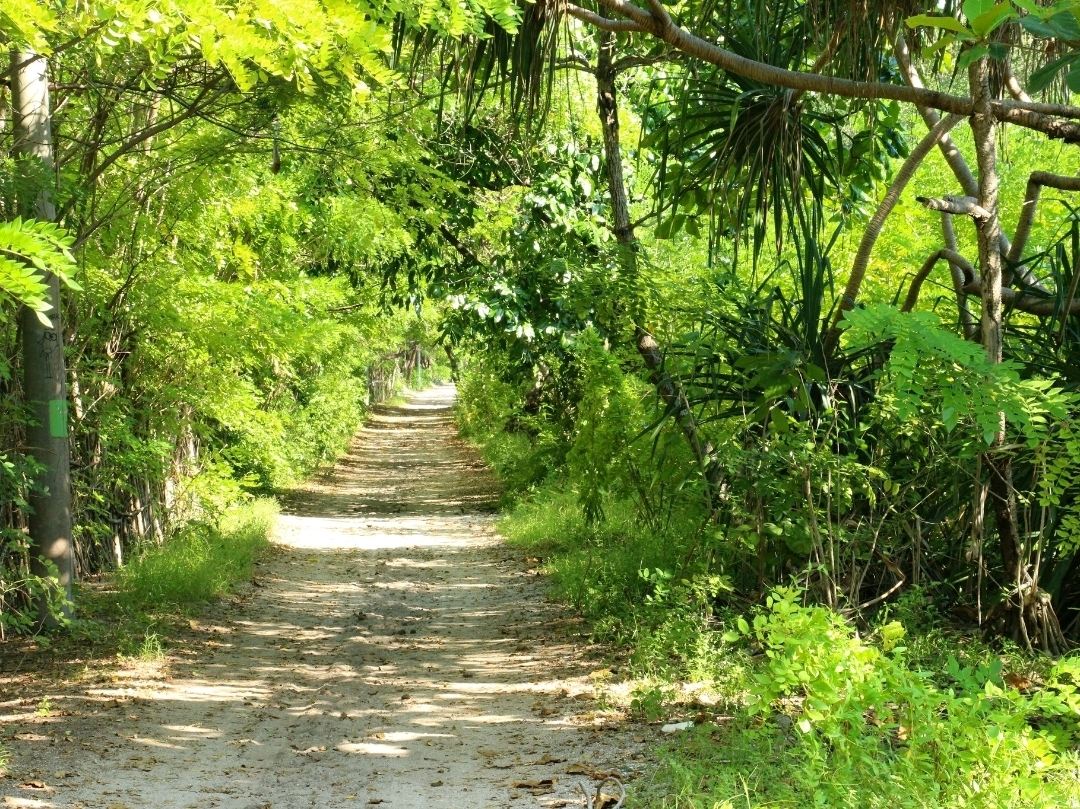 The Gili Islands: The Deliberate Archipelago | Trip.com Gili Meno