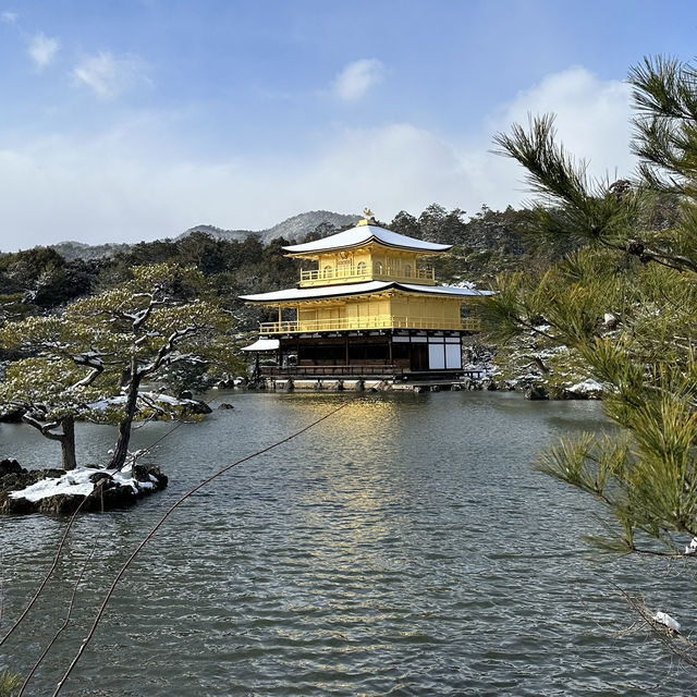 京都金閣寺雪景感動瞬間✨