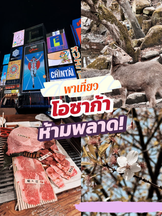 แจกแพลน โอซาก้า เที่ยวตามได้เลย แจกแพลน โอซาก้า เที่ยวตามได้เลย