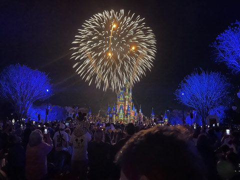 WDW マジックキングダム | Trip.com ベイ・レイク