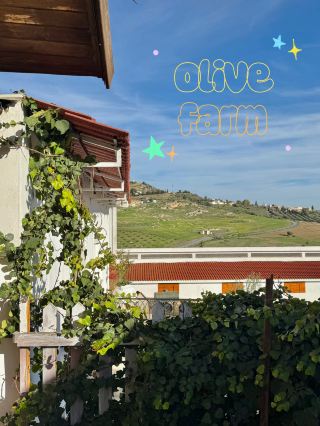 🌿 ประสบการณ์เยี่ยมชมฟาร์มมะกอกใกล้เมืองตูนิส 🌞