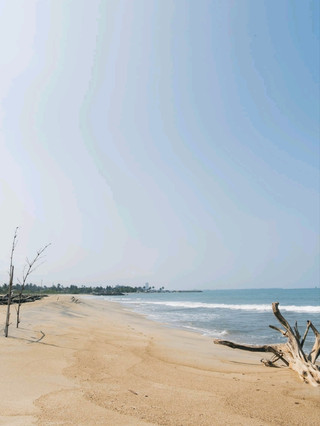 Negombo Beach in Sri Lanka is stunning.