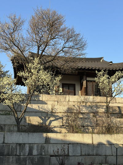 朝鮮王室の最後の家族が1989年まで暮らした昌徳宮（チャンドックン