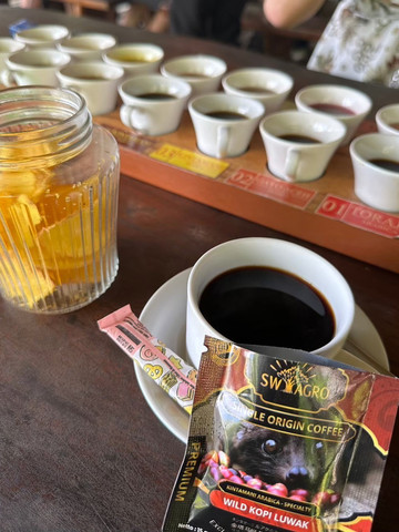 バリ島】超貴重！世界的に有名なジャコウ猫コーヒー農園へ☕️ | Trip