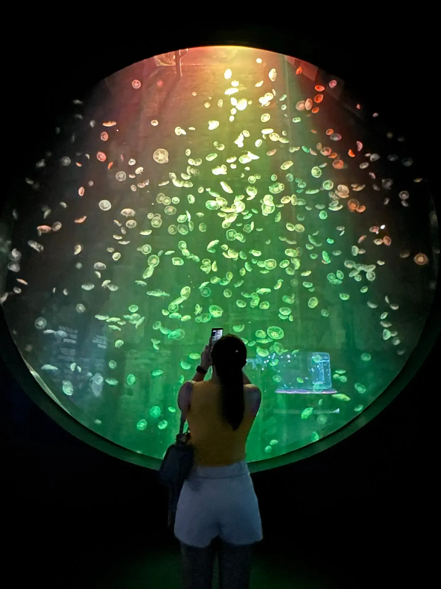 An Epic Underwater Escape in Sentosa 🌊🪼