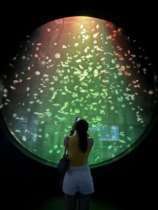 An Epic Underwater Escape in Sentosa 🌊🪼
