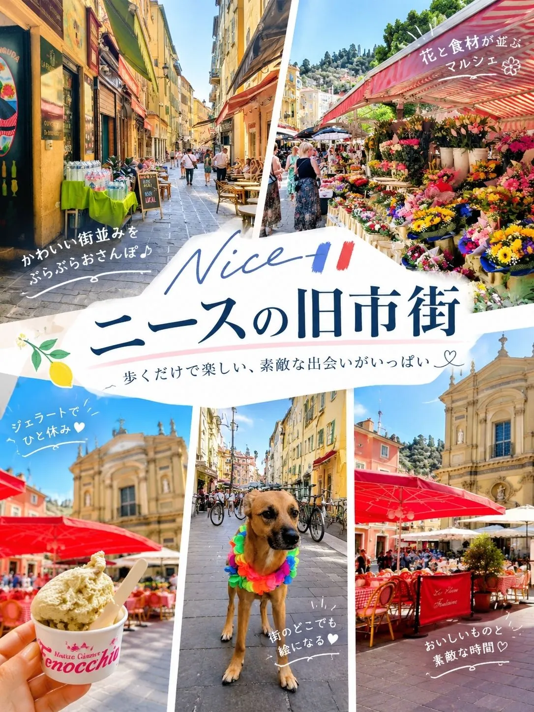 🇫🇷「歩くだけで楽しい♡ニースの旧市街」