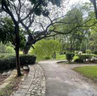 Bishan-AMK park