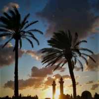 The Ancient Crossroads of Al-Karak