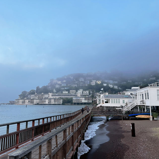 令人驚喜的sausalito!