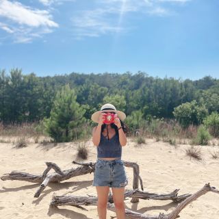 Sand dunes perfect for kite flying, Jockey's Ridge State Park, USA