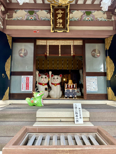 東京都浅草🇯🇵今戸神社】縁結びの神様⛩️招き猫がお出迎え