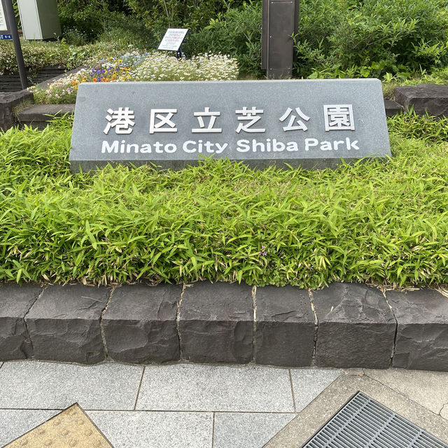 【東京都🇯🇵芝公園】都会のオアシス☺️東京タワーを見ながらのんびり散歩