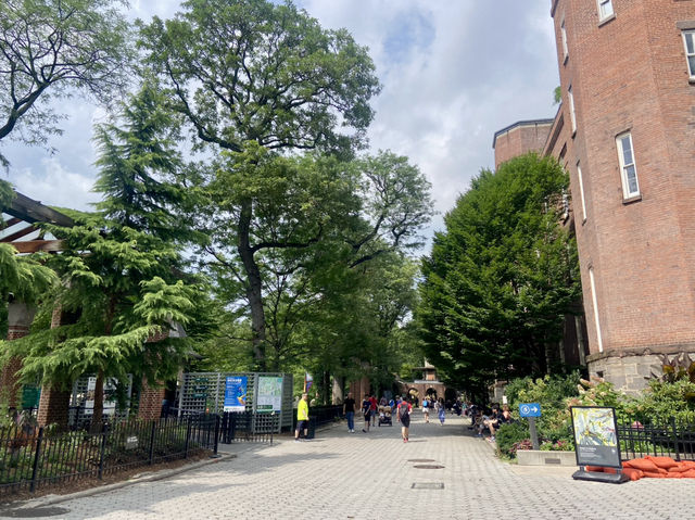 ✨🦜我在紐約中央公園動物園觀雀的樂趣✨