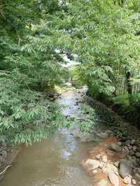 🏮【伊豆修善寺】隱世古町的日式療癒之旅🌿｜溫泉、竹林小徑、禪意滿滿✨