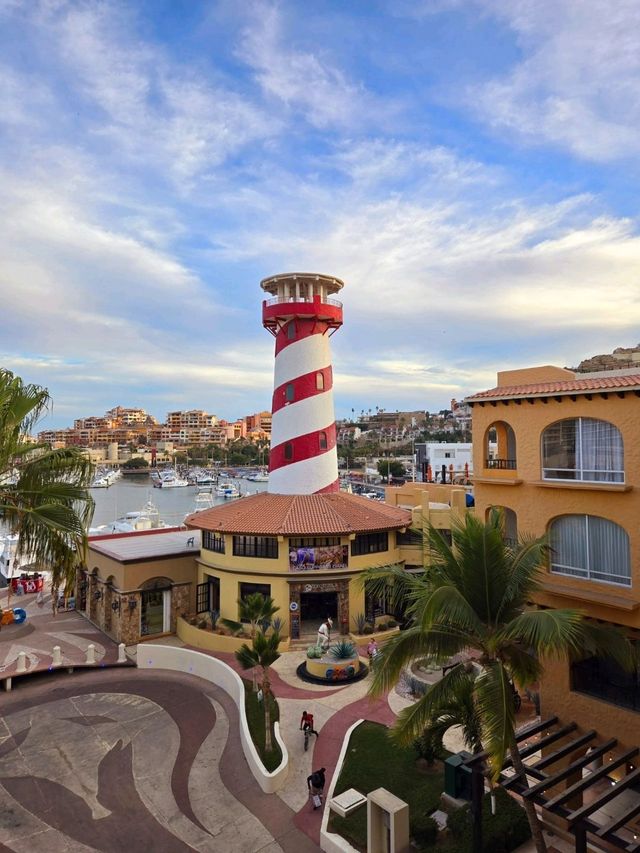 If the sea lions don’t convince you to stay… the rooftop hot tub will 😌💦🦭