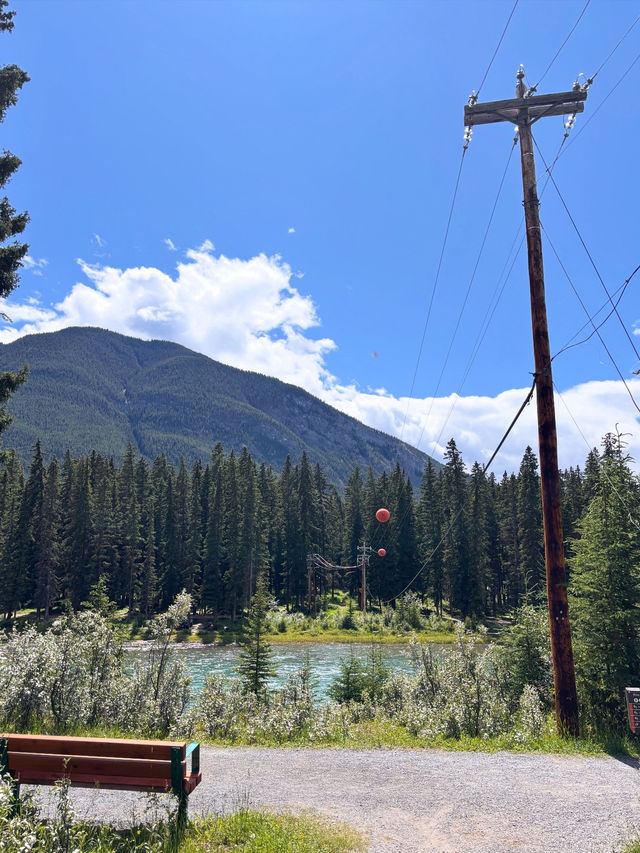 バンフ🇨🇦 in Summer