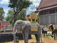 A Day at Damnoen Saduak Floating Market & Maeklong Railway Market