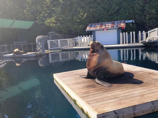 Vancouver Aquarium 🇨🇦🐟