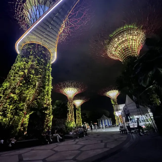 superTrees and night show at Singapore