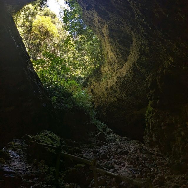 Cueva del tigre