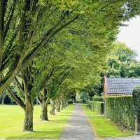 "Eindhoven: A Foreigner’s Paradise in the Netherlands"