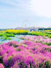 ☀️長井海之手公園 太陽之丘☀️體驗15米高的高空滑索