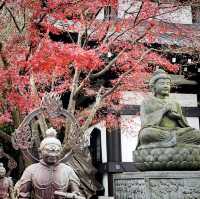 💯 Cultural Experience in 🇯🇵 - Perfect day trip from Tokyo!