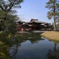 Day trip from Kyoto 🍵